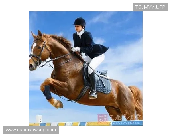 马术跨栏马匹步法调整细节